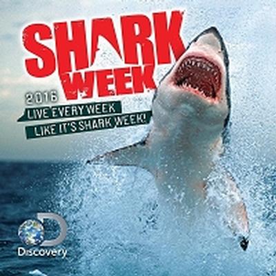 Click to get Shark WeeK Wall Calendar 2016